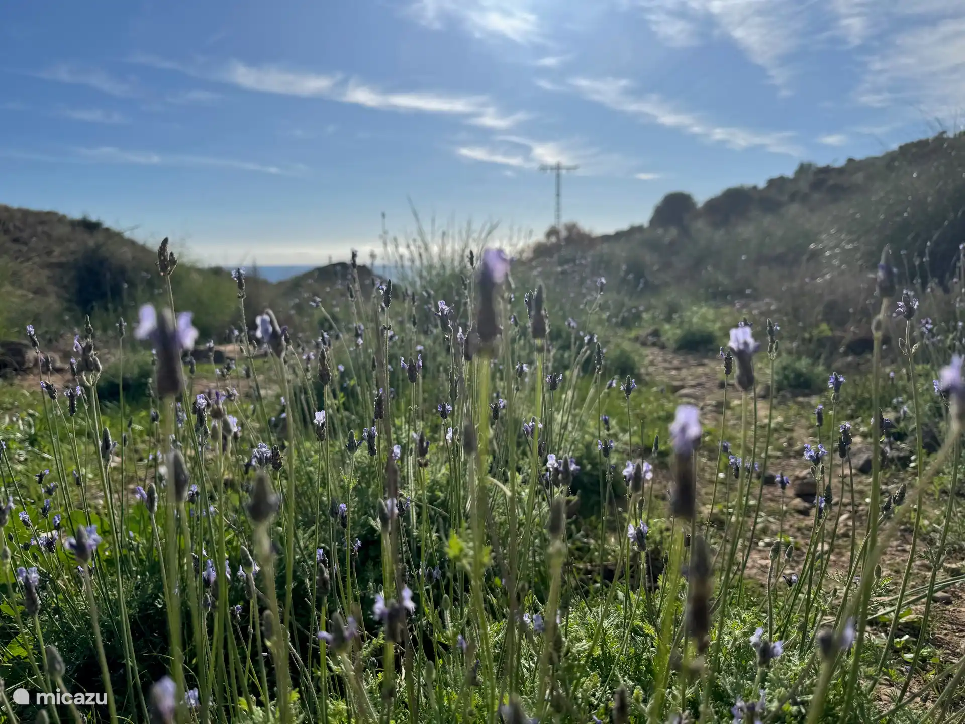 La plus belle nature toute l’année. Toujours quelque chose qui fleurit et les plus beaux sentiers de randonnée.