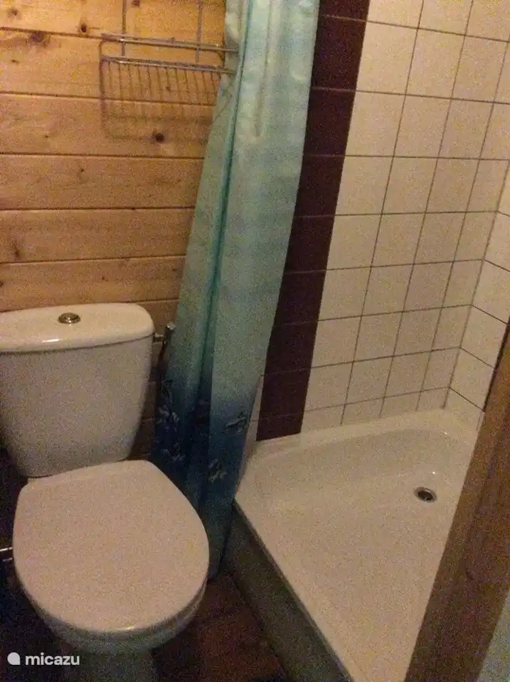 Toilette mit Eckdusche.