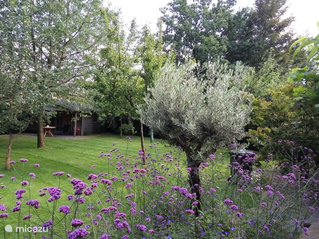 Atmosphäre unseres Gartens mit dem Gartenhaus im Hintergrund