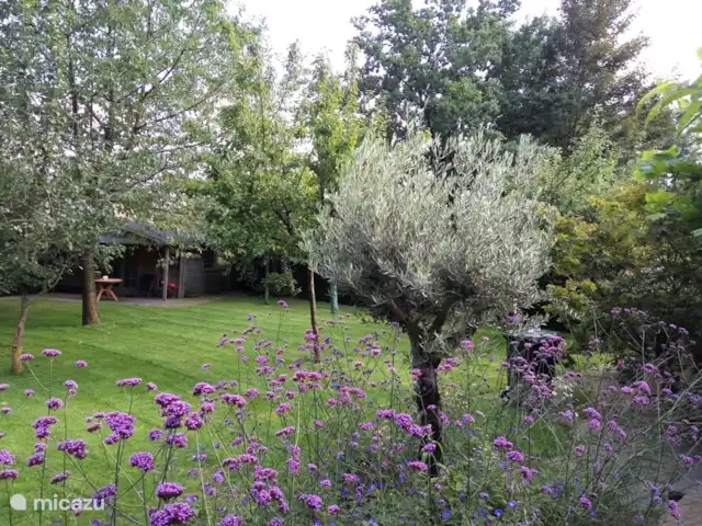 Location de Vacances Pays-Bas, Drenthe, Zeijen, cabane en bois / lodge - B&B Zeijen Ambiance de notre jardin avec la maison de jardin en arrière-plan