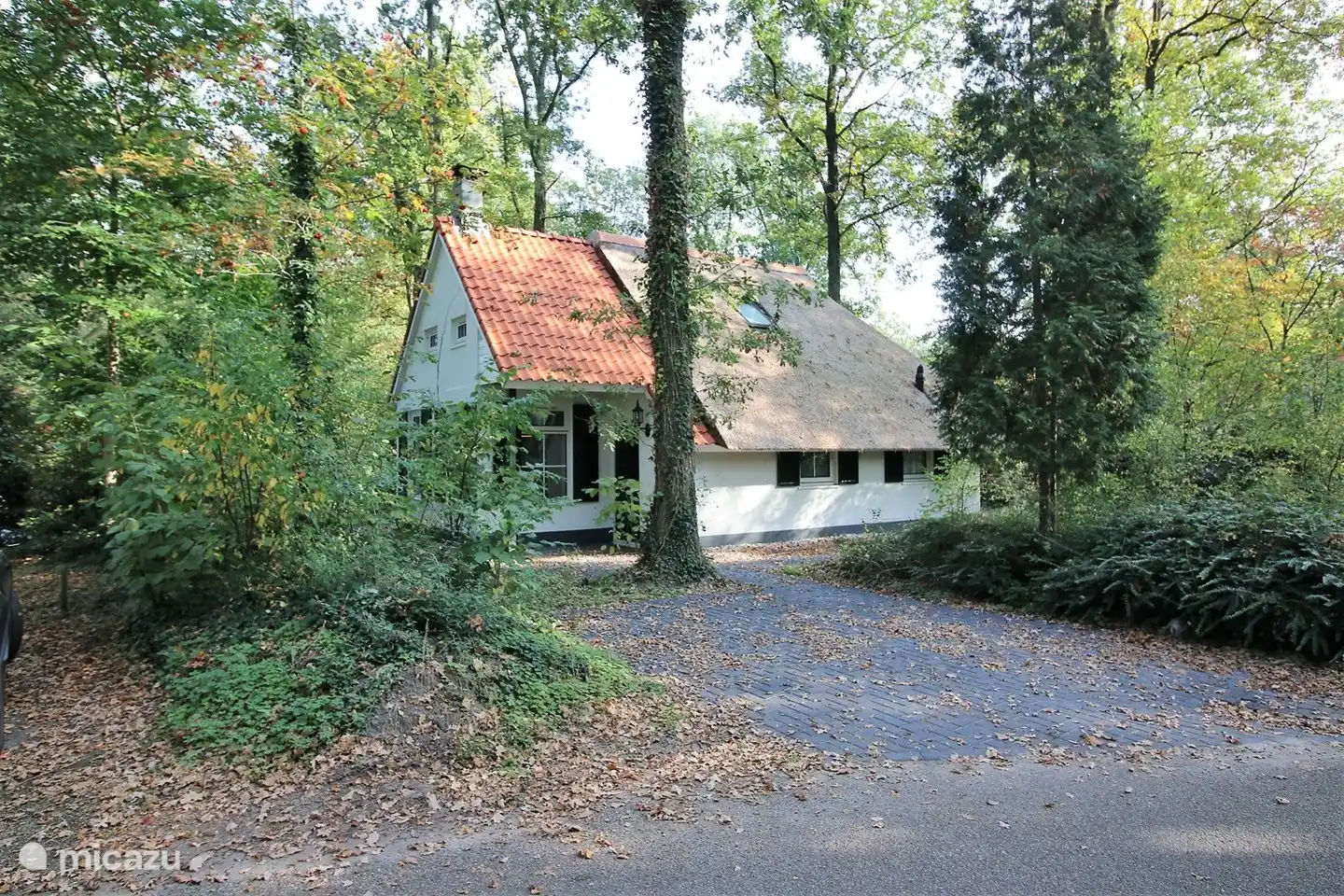 Die weißen Berge in Niederlande, Overijssel, IJhorst - ferienhaus