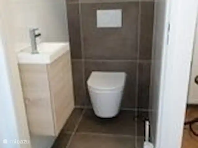 Location de Vacances Pays-Bas, Overijssel, IJhorst, maison de vacances - Les Montagnes Blanches Toilette en bas.