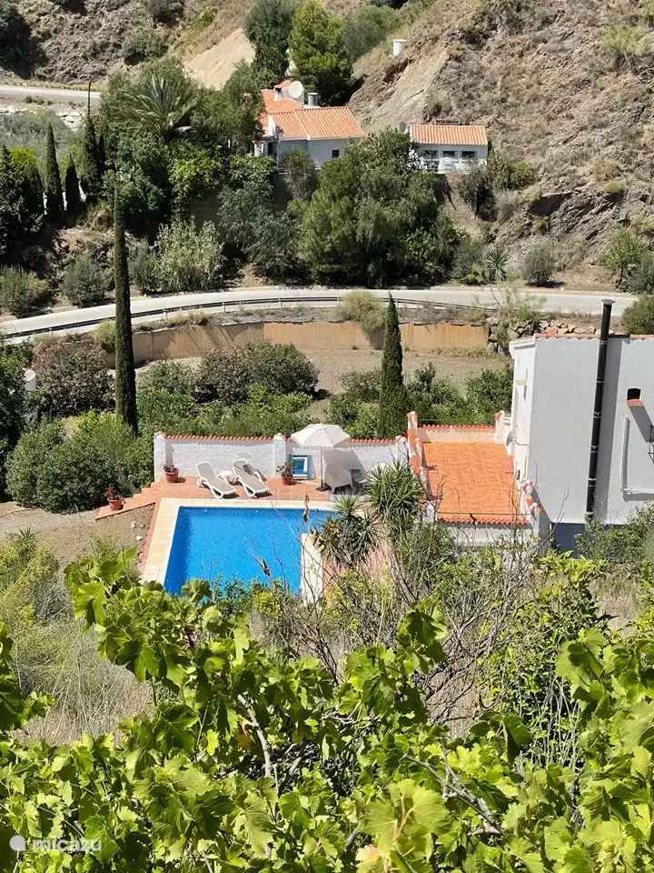 Blick aus dem Garten