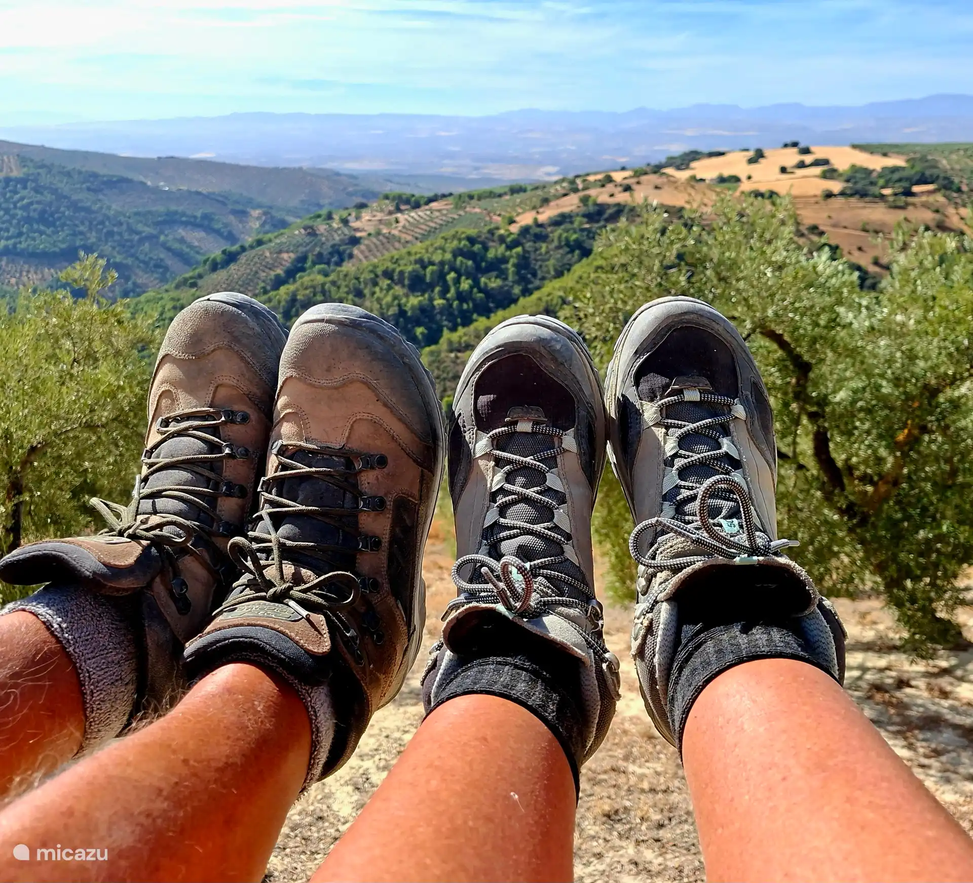Diverse wandelroutes vanuit de oude poort.
