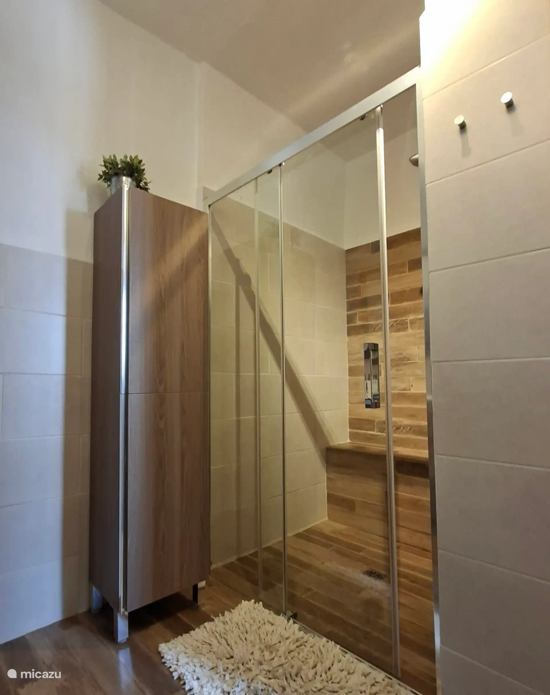 Badkamer met grote douche.