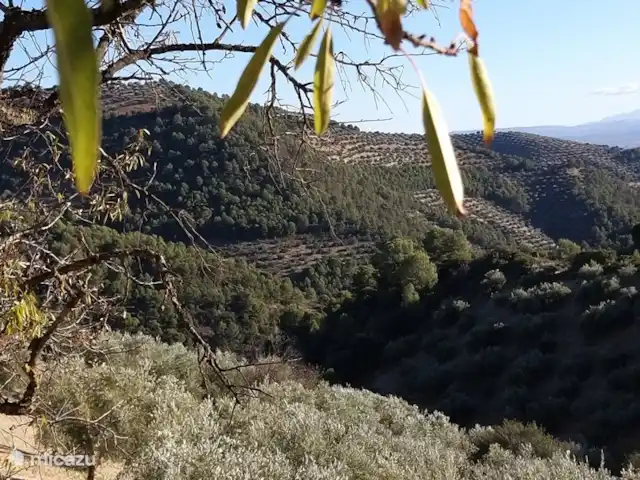 Casa Los Molinos dans la nature | Espagne, Andalousie, Montefrio - maison de vacances Vues magnifiques