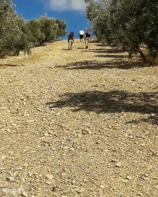 Diverse wandelroutes vanuit onze oude poort