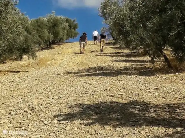 Casa Los Molinos dans la nature | Espagne, Andalousie, Montefrio - maison de vacances Divers itinéraires de randonnée au départ de notre ancienne porte