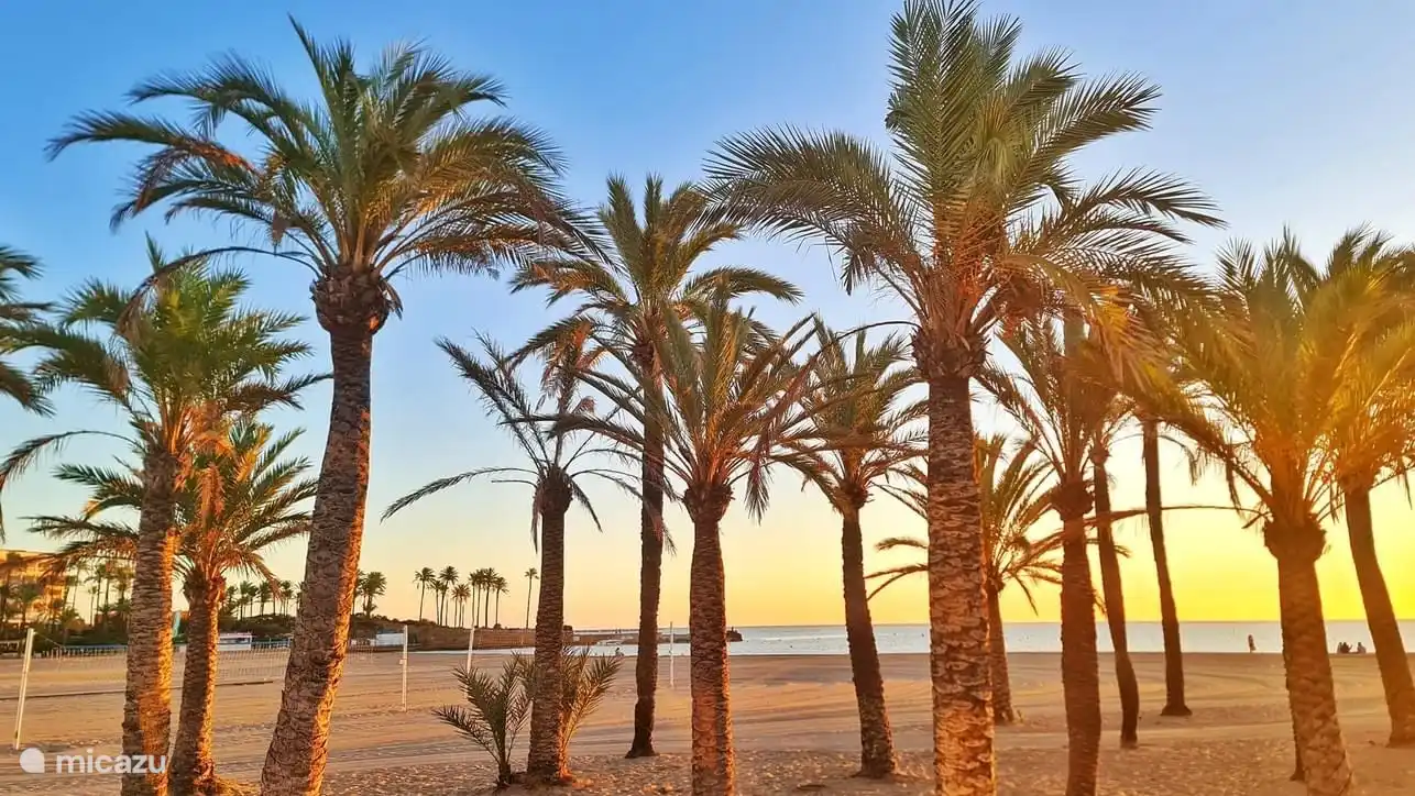 Le boulevard Arenal regorge de bars chaleureux et de restaurants savoureux. De nombreux restaurants sont également ouverts pendant les mois d'hiver et l'ambiance est vraiment cosy