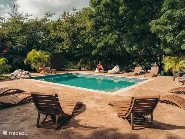 Tortuga huren in Curaçao, Curacao-Midden, Sint Michiel - blokhut / lodge Zwembad