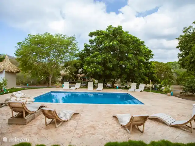 Tortuga huren in Curaçao, Curacao-Midden, Sint Michiel - blokhut / lodge Zwembad