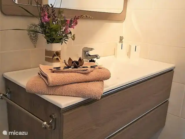 Maison de vacances Molino Mairena | Espagne, Andalousie, Montefrio - maison de vacances Salle de bain spacieuse moderne, lavabo et grande douche et WC