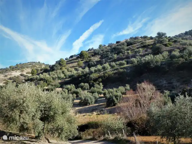 Maison de vacances Molino Mairena | Espagne, Andalousie, Montefrio - maison de vacances Vues