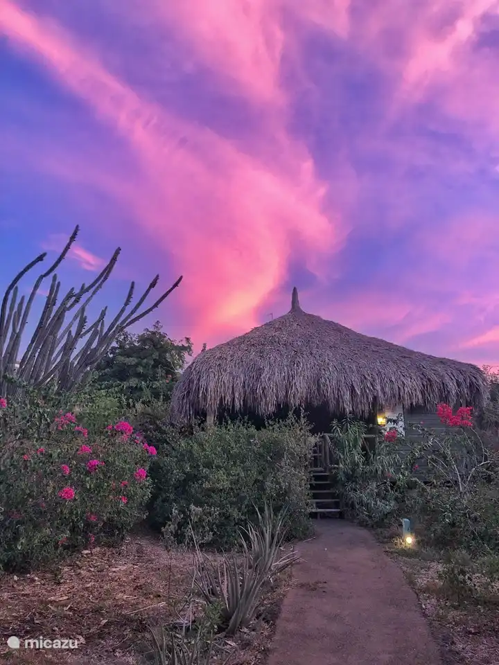 cabane en bois / lodge, Julianadorp, Curaçao-Centre, Curaçao - Ara