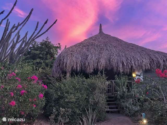 Maison de Vacances Curaçao – cabane en rondins / lodge Ara