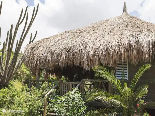 Ara | Curaçao, Curaçao-Centre, Sint Michiel - cabane en bois / lodge ara