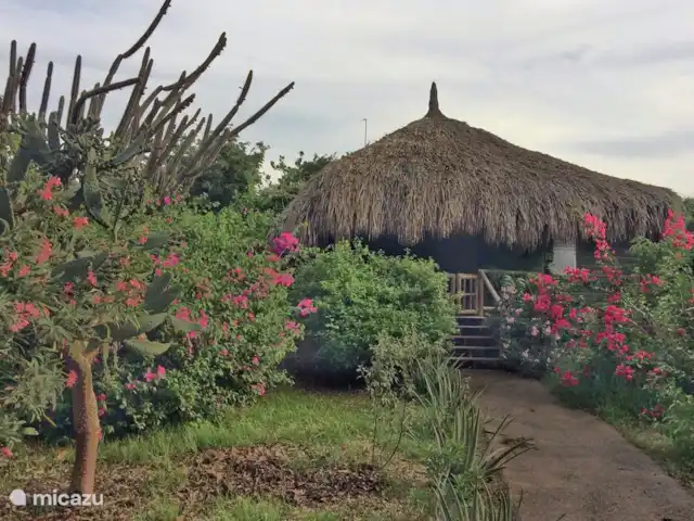 Ara | Curaçao, Curaçao-Centre, Sint Michiel - cabane en bois / lodge ara