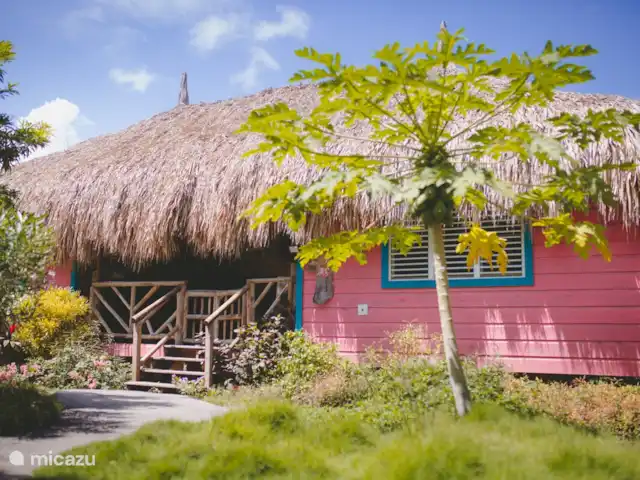 Flamingo huren in Curaçao, Curacao-Midden, Sint Michiel - blokhut / lodge Flamingo huren in Curaçao, Curacao-Midden, Sint Michiel - blokhut / lodge