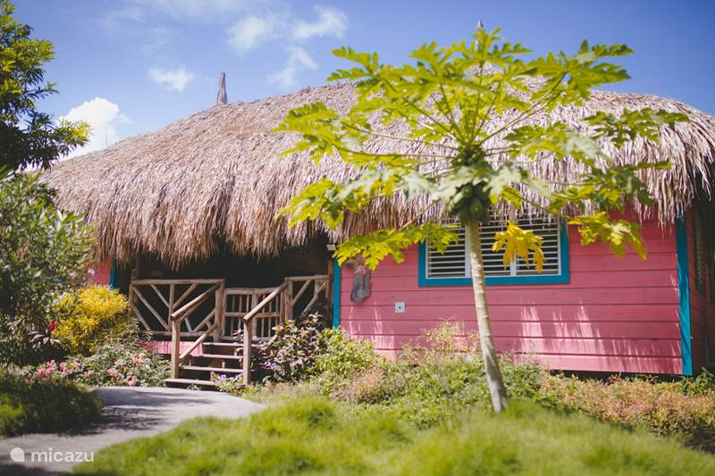 Vacation rental Curaçao, Curacao-Middle, Sint Michiel Cabin / Lodge Flamingo