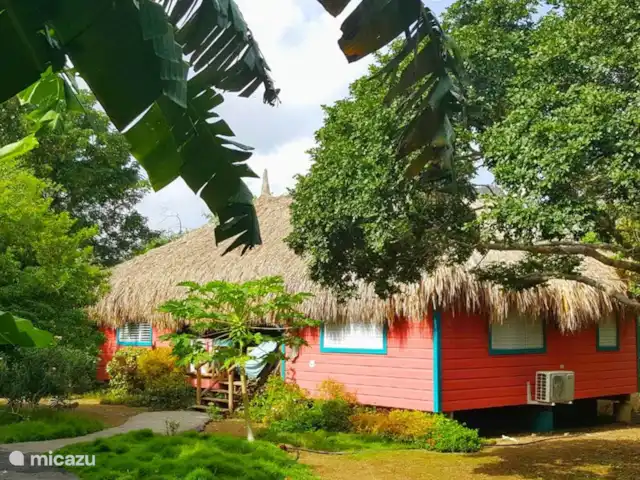 Flamingo huren in Curaçao, Curacao-Midden, Sint Michiel - blokhut / lodge Flamingo