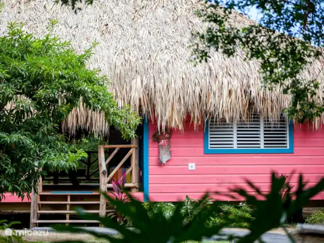 Flamingo huren in Curaçao, Curacao-Midden, Sint Michiel - blokhut / lodge Flamingo