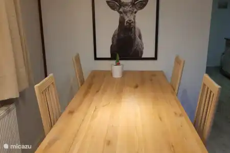 Vakantiehuis Nederland, Gelderland, Voorthuizen chalet Chalet op de ijsvogel