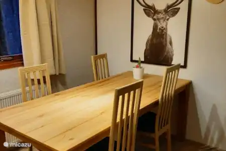 Vakantiehuis Nederland, Gelderland, Voorthuizen chalet Chalet op de ijsvogel