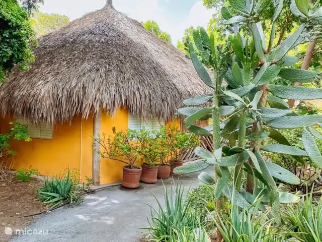 Kunuku | Curaçao, Curaçao-Centre, Sint Michiel - cabane en bois / lodge Extérieur