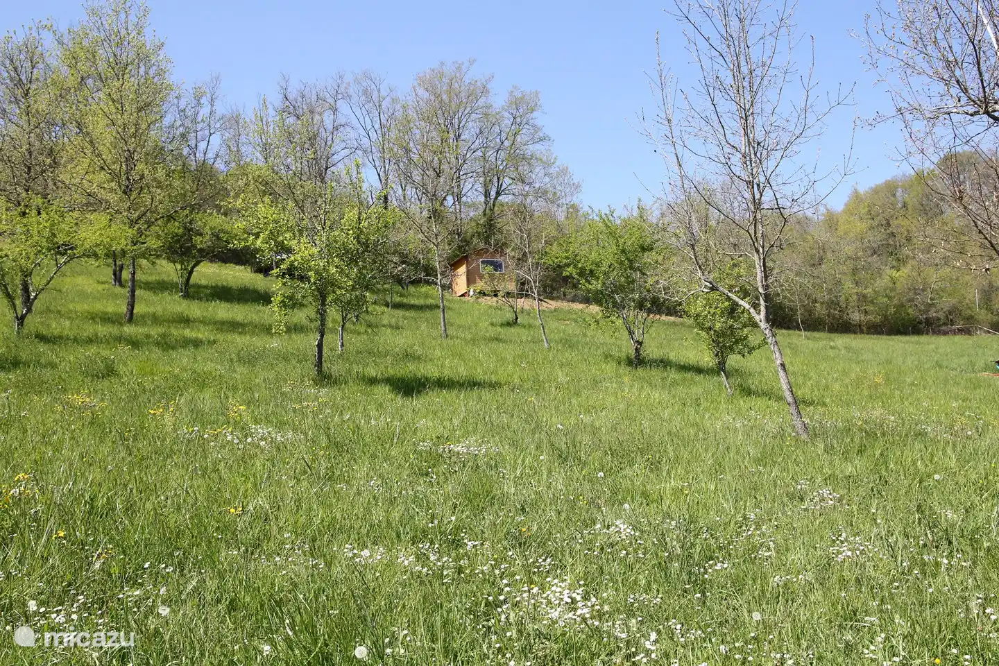Part of the site with the sanitary cabin at the top.