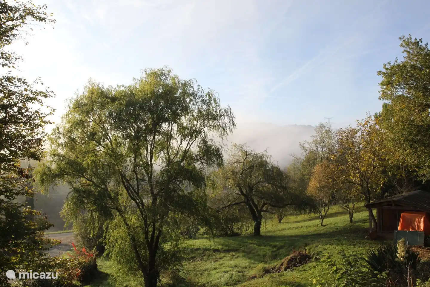 for annual fog in the valley