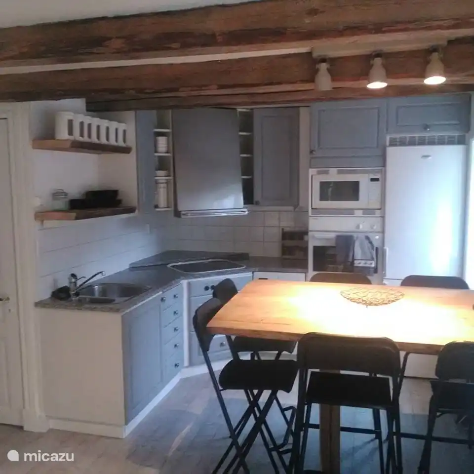 Offene Küche mit Geschirrspüler, Backofen, Mikrowelle, Kühl- und Gefrierschrank