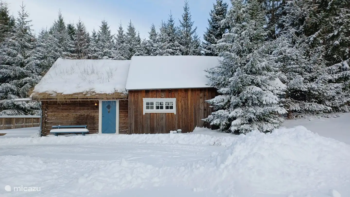 Seitenansicht im Winter