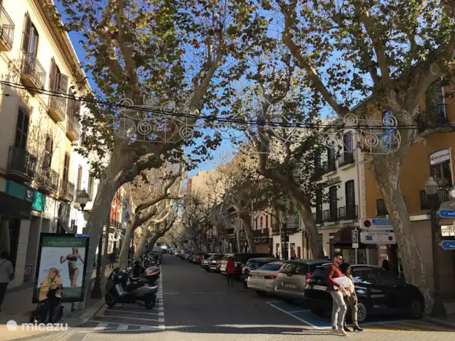 Casa Elisabeth en España, Costa Blanca, Dénia - vivienda urbana foto de invierno:
Calle Marqués de Campo, una de las famosas calles comerciales del centro de Denia.