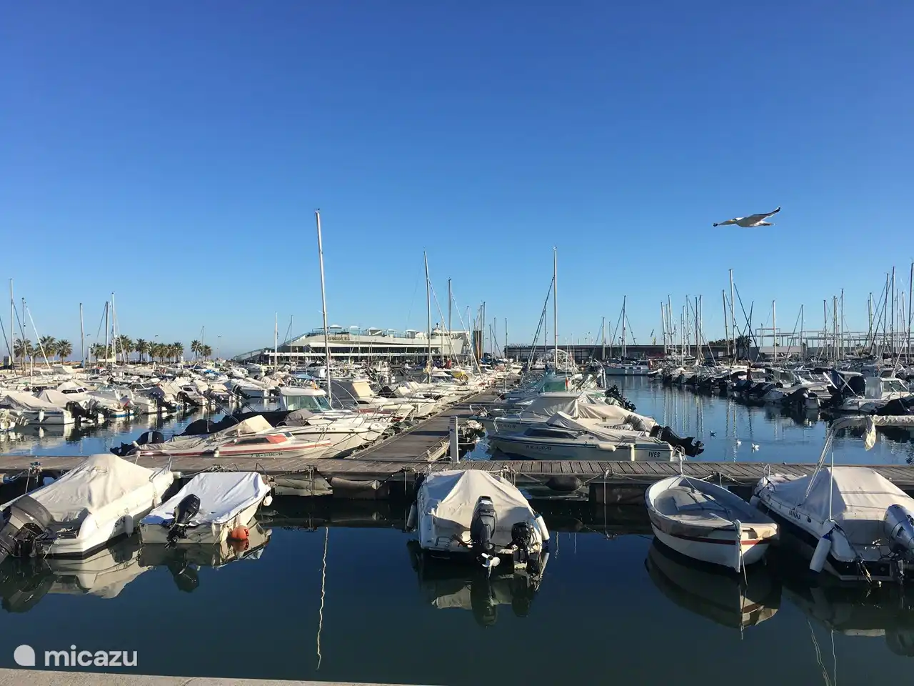 Der Yachthafen mit einem schiffsförmigen Restaurant im Hintergrund.