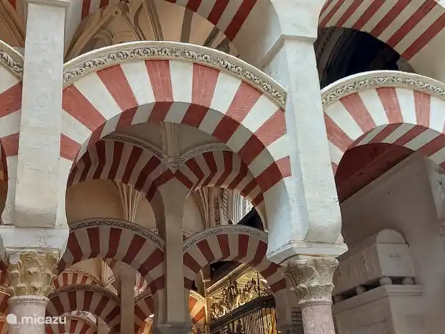 Casa El Algarrobo | Espagne, Costa del Sol, Comares - villa La mezquita de Cordoue est d'une beauté inimaginable et unique au monde. Une cathédrale construite au coeur d'une mosquée.
