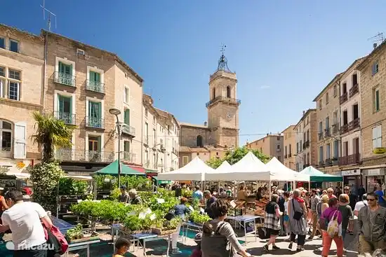 Pézenas Saturday morning market