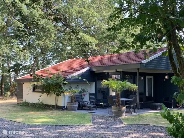 Bungalow de vacances de luxe Twentelodge | Pays-Bas, Overijssel, Denekamp - bungalow Bungalow de vacances de luxe Twentelodge | Pays-Bas, Overijssel, Denekamp - bungalow