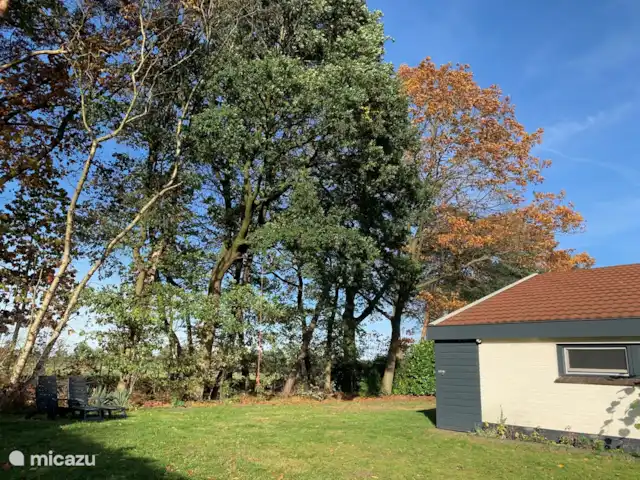 Bungalow de vacances de luxe Twentelodge | Pays-Bas, Overijssel, Denekamp - bungalow