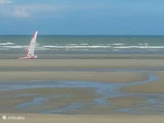 Location de Vacances Belgique, Côte Belge, De Panne, villa - Coin tranquille Plage en automne