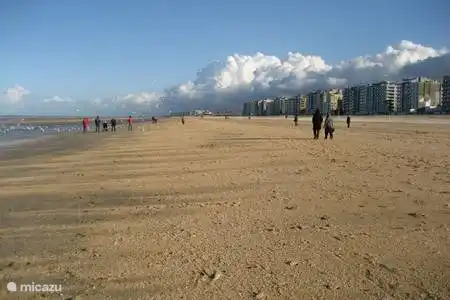 playa en invierno