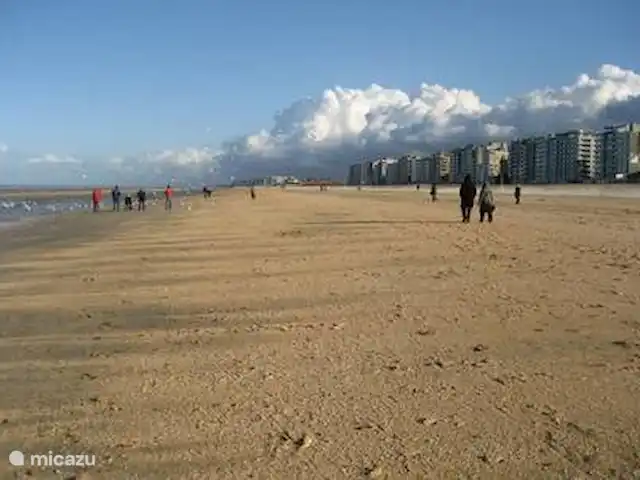 Location de Vacances Belgique, Côte Belge, De Panne, villa - Coin tranquille Plage en hiver