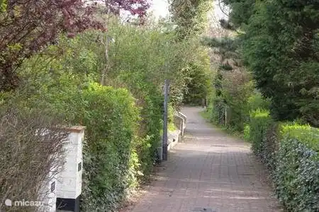 Quiet Corner