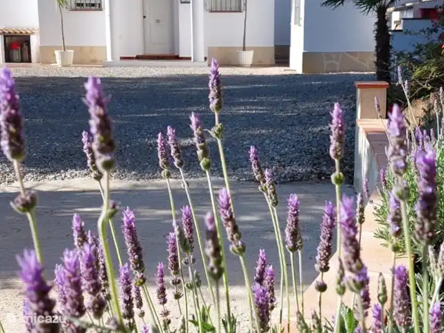 Location de Vacances Espagne, Andalousie, Arenas, maison de vacances - Casa Camaleon maison avant
