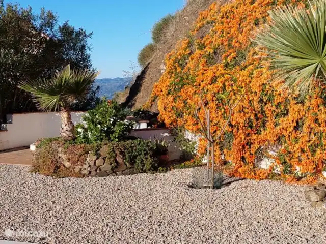 Location de Vacances Espagne, Andalousie, Arenas, maison de vacances - Casa Camaleon jardin