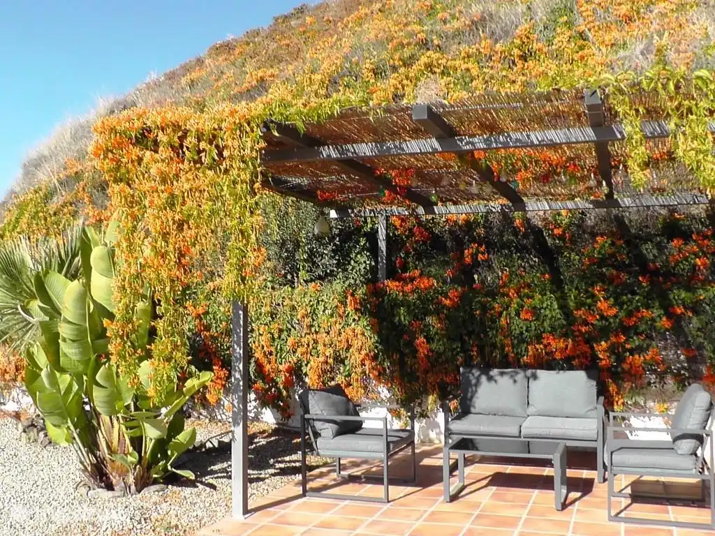 Pergola und Sitzecke