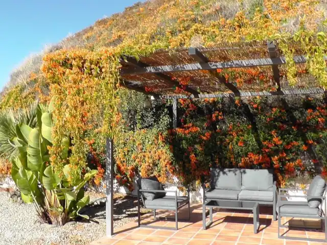 Location de Vacances Espagne, Andalousie, Arenas, maison de vacances - Casa Camaleon Pergola et coin salon