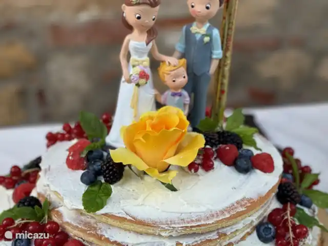 Landhuis in Toscane max. 31 personen huren in Italië, Toscane, Montecastelli Pisano - landhuis / kasteel Toscaanse bruiloft