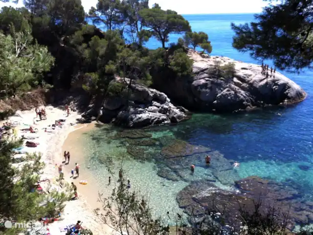 Location de Vacances Espagne, Costa Brava, Platja d'Aro, maison de vacances - Mas Nou 476 Plage d'Aro Cala del Pi
