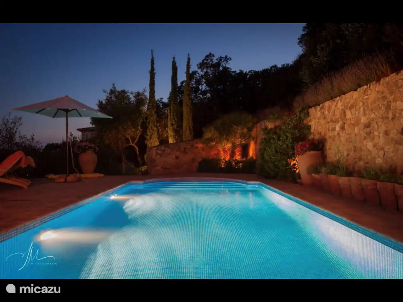 Swimming pool with various herbs in pots on the right