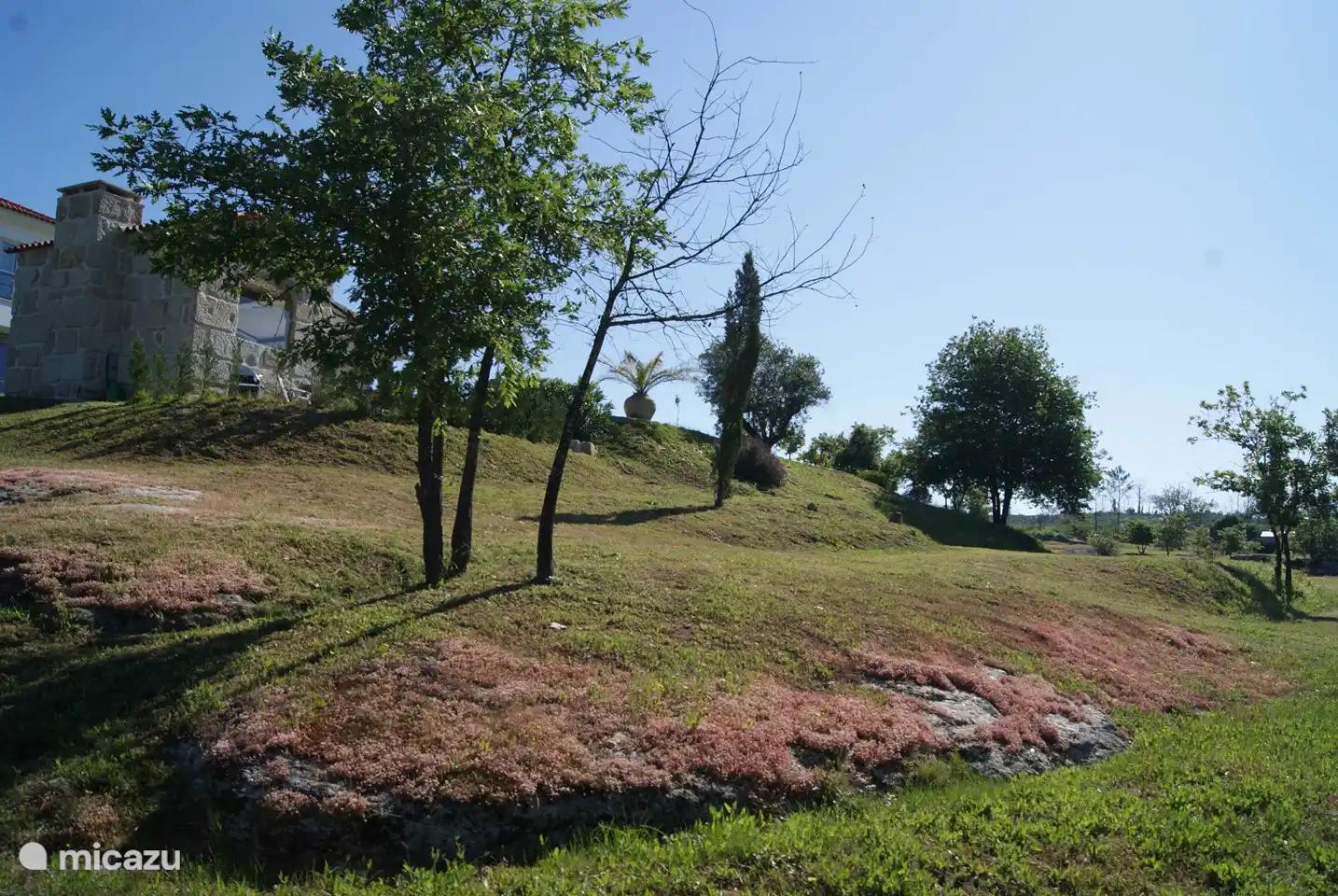 Pure nature and tranquility